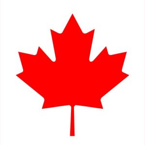 Canada Visa Services